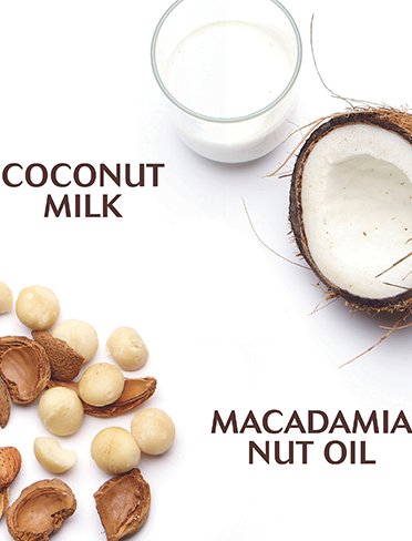 Coconut-Milk-Ingredients